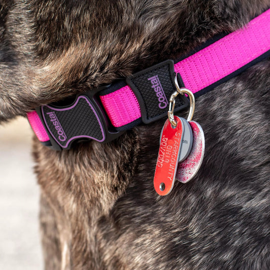 Large EZ Carabiner Clip